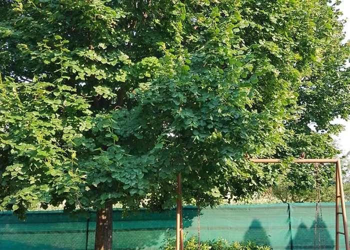 Case de vacanță Blaha *